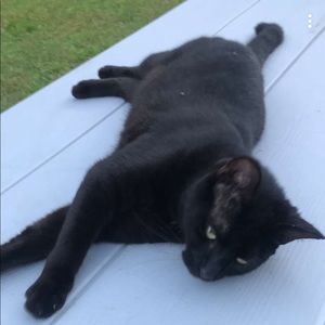 Meet your Posher, J.d.